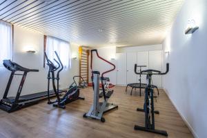 Fitness centrum a/nebo fitness zařízení v ubytování Central Sporthotel Davos