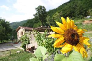 Photo de la galerie de l'établissement Agriturismo Cà Sonino, à Bettola 14 autres photos