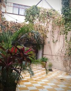 Zahrada ubytování Hostal 509