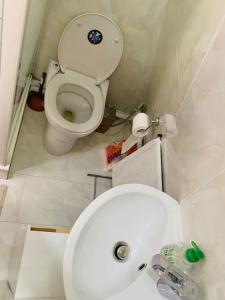 a small bathroom with a toilet and a sink at Studio cosy au cœur de Paris in Paris