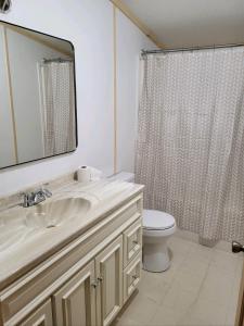 een badkamer met een wastafel, een toilet en een spiegel bij HTR Adirondacks in Old Forge