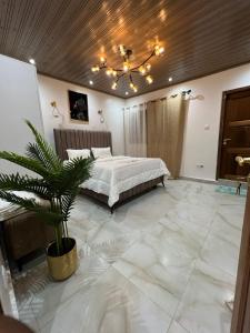 a bedroom with a bed and a potted plant at Keur Buur in Dakar