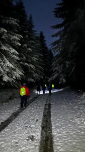 a group of people walking down a snow covered path at Przysiółek Flądrówka - Dom na odludziu z widokiem na Gorce i Tatry in Szczawa