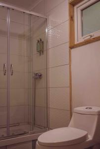 a bathroom with a toilet and a glass shower at Casa loft con opción de tina temperada in Puerto Varas