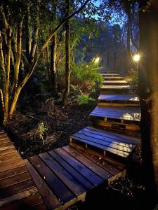 a row of wooden steps in a forest at night at Casa loft con opción de tina temperada in Puerto Varas