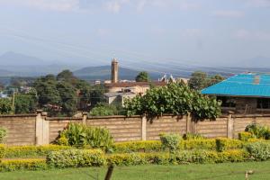 a fence with a city in the background at Zeni apartment in Meru
