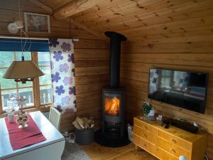 a living room with a fireplace in a log cabin at Timrad stuga i kanten av skogen med SPA möjlighet in Mullsjö