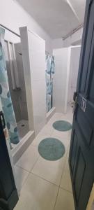 a bathroom with a shower and two green rugs at Samps Hostel in Lisbon