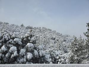 a snow covered hill with trees and a house on it at Family House in Pine Mountain Club