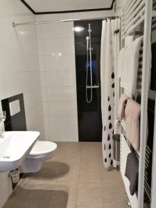 ein Bad mit einem WC, einem Waschbecken und einer Dusche in der Unterkunft Lend-FEWO -free Parking- Self Check-in in Graz
