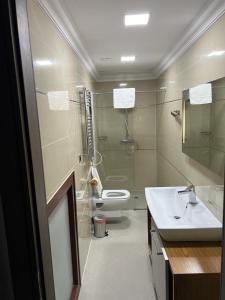 a bathroom with a sink and a shower and a toilet at SilverDeluxe in Poiana Brasov