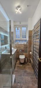 a bathroom with a shower and a toilet and a sink at Tower Bridge spacious KING BEDROOM with extra large windows in London