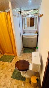 La petite salle de bains est pourvue de toilettes et d'un lavabo. dans l'établissement MOOREA Bungalow Kohimana avec vue lagon, à Moorea