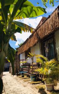 a building with a bunch of plants in front of it at Hostel Itaparica in Itaparica Town +34 photos