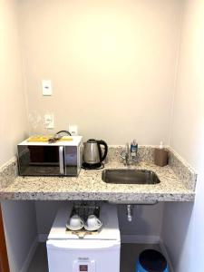 eine Küchentheke mit einer Spüle und einer Mikrowelle in der Unterkunft Canto Alemão in Domingos Martins