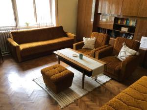 a living room with two couches and a coffee table at Guest House Tisza Ház in Senta