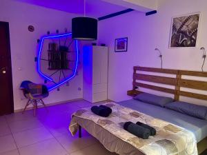 ein Schlafzimmer mit einem Bett in einem lila Zimmer in der Unterkunft Bella Bologna in Bologna