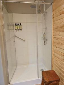 a shower with a glass door in a bathroom at Hotel Bacaris in Puerto Tranquilo