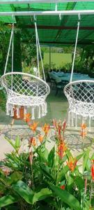 サン・ルイにあるCAMPING le fruit de la passionの花の咲くパティオに掛けられた白い椅子2脚