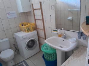 a bathroom with a washing machine and a sink at Les Dalhias in Les Anses-dʼArlets