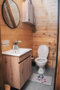 a bathroom with a toilet and a sink at Owl House Jelovica in Berane