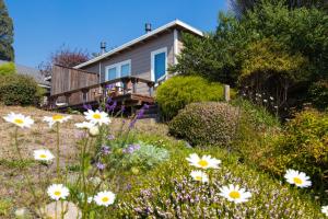 Zahrada ubytování SCP Mendocino Coast Lodge + 13 fotografií