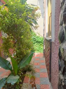 a brick walkway next to a building with plants at Birhan Guest House in Addis Ababa