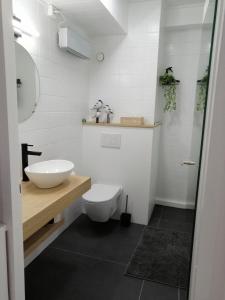 a bathroom with a white toilet and a sink at Zee en Zicht in De Panne