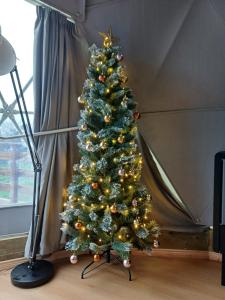 a christmas tree with gold ornaments on it at Little River Glamping in Ballymoney