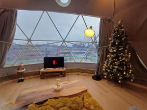 una habitación con un árbol de Navidad en una habitación con una gran ventana en Little River Glamping, en Ballymoney