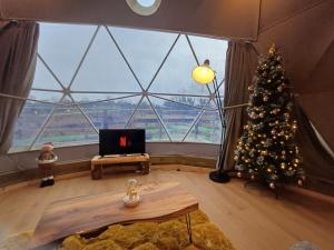 a room with a christmas tree in a room with a large window at Little River Glamping in Ballymoney