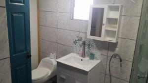 a white bathroom with a sink and a toilet at Hermosa casa en el centro de Coyhaique in Coihaique