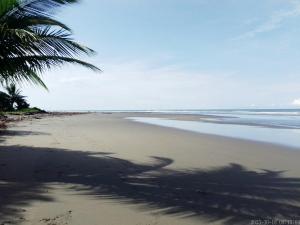 a shadow of a palm tree on a beach at Hostal Atrapasueños playa La Barra in Buenaventura