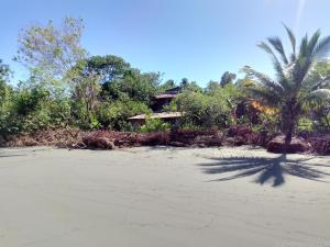 a palm tree on a beach with a house in the background at Hostal Atrapasueños playa La Barra in Buenaventura