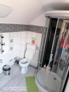 a toy bathroom with a toilet and a shower at Rasnov Retreat in Râşnov