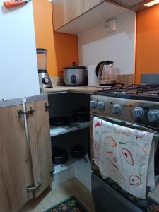 a kitchen with a stove and an open pantry at Departamento PET Friendly in Chancay