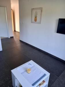 Μια τηλεόραση ή/και κέντρο ψυχαγωγίας στο Appartment IVA Kampor