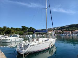 a white sailboat docked in a harbor with other boats at Appartment IVA Kampor in Kampor