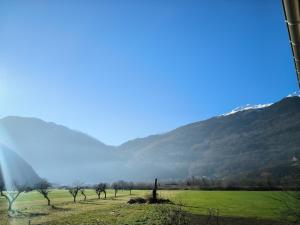 a field with trees and a mountain in the background at La sapinette avec jaccuzzi in La Bâthie +4 photos