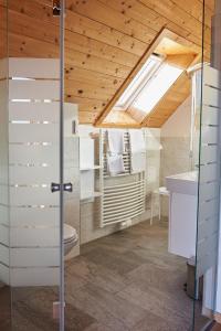 ein Badezimmer mit einem WC, einem Waschbecken und einem Dachfenster in der Unterkunft Winzerzimmer Scharl in Sankt Anna am Aigen