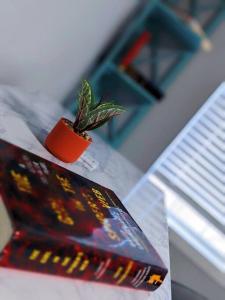 uma planta em vasos sentada em cima de um livro em Elegant Studio Montrose-Amalfi @ The ItalianPlaza em Houston