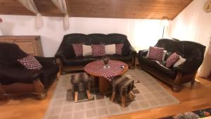Zdjęcie z galerii obiektu Apartment ANDA w mieście Bad Kleinkirchheim