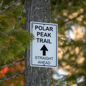 een bord op een boom dat de polaire piek trainstraight voor ons leest bij Polar Peak by Fernie Central Reservations in Fernie