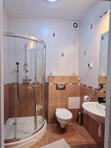 a bathroom with a shower and a toilet and a sink at Apartament Gwiazda 503 in Krynica Zdrój