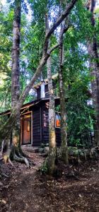 una cabaña en medio del bosque con árboles en Cabaña Alto del Bosque, en Coñaripe