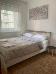 een slaapkamer met een groot bed, een raam en een tapijt bij Alacaster G apartman in Novi Sad