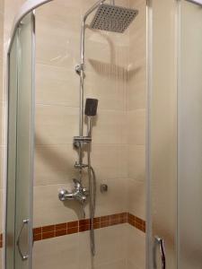 een douche met een glazen deur in de badkamer bij Alacaster G apartman in Novi Sad