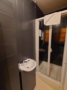 een badkamer met een wastafel en een douche bij Centra Hemel in Hemel Hempstead