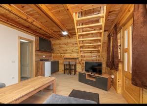 a living room with wooden walls and a kitchen with a television at Kovacevic Weekend House in Lokva