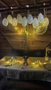 卡馬薩里的住宿－Flor da Aldeia Eco Hospedaria，悬挂在天花板上的一束带灯的气球
